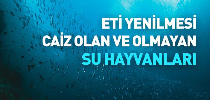 Eti Yenilmesi Caiz Olan ve Olmayan Su Hayvanları