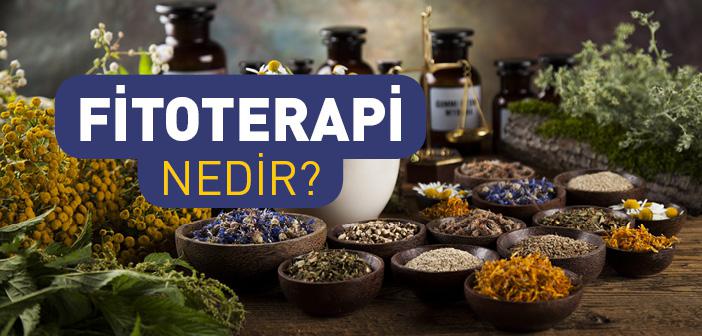 Fitoterapi Nedir? Ne İşe Yarar? Faydaları Nelerdir? Hangi Hastalıklarda Kullanılır?