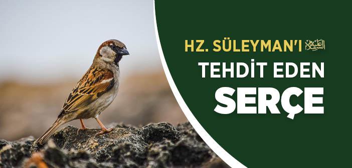 Hazret-i Süleyman ve Serçe Kıssası