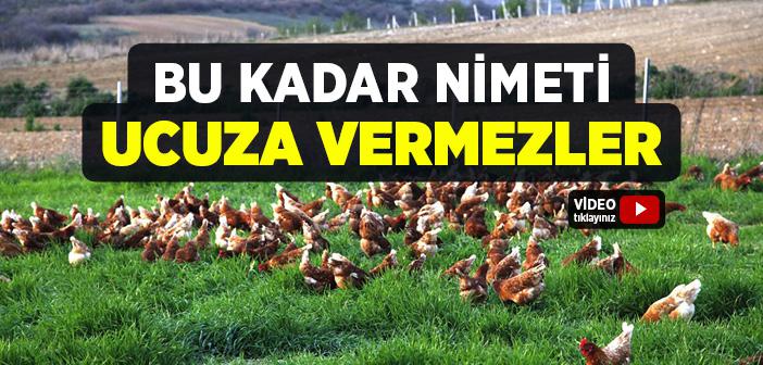 Mustafa Akgül "Bu Kadar Nimeti Ucuza Vermezler" Kıssası