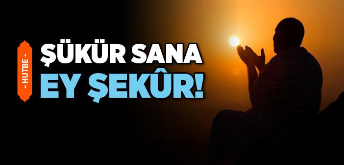 Şükür Sana Ey Şekur