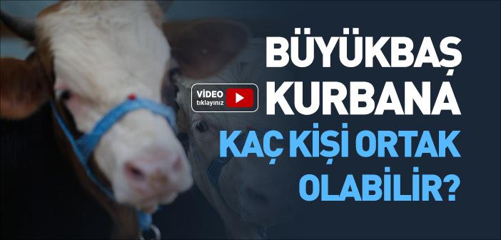 Büyükbaş Kurbana Kaç Kişi Ortak Olabilir?