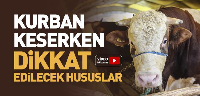 Kurban Keserken Nelere Dikkat Edilmesi Gerekir?