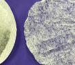 Poşet Çayda 13 Bin Mikroplastik Parçacığı Tespit Etti