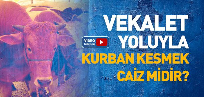 Vekalet Yoluyla Kurban Kesmek Caiz midir?