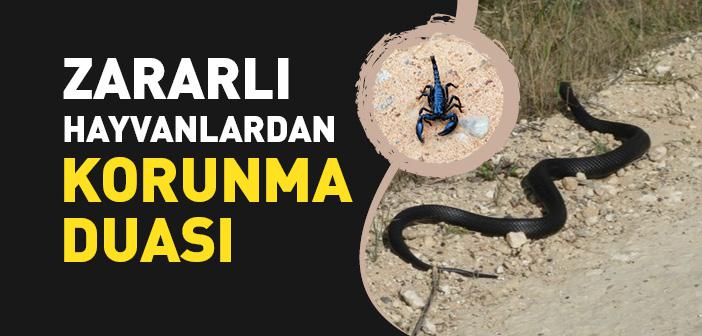 Yılan, Akrep, Haşere Gibi Zararlı Hayvanlardan Korunma Duası