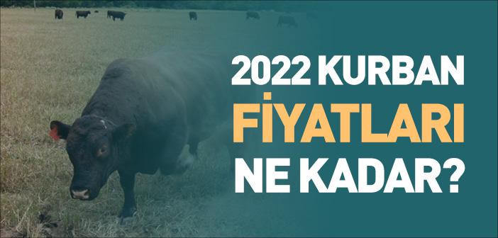 2022 Kurban Fiyatları Ne Kadar?