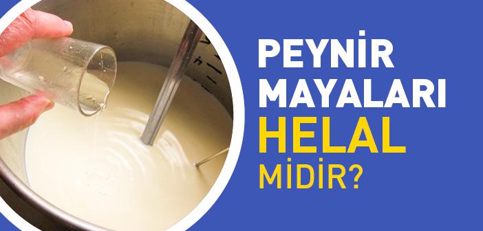 Peynir Mayaları Helal midir?