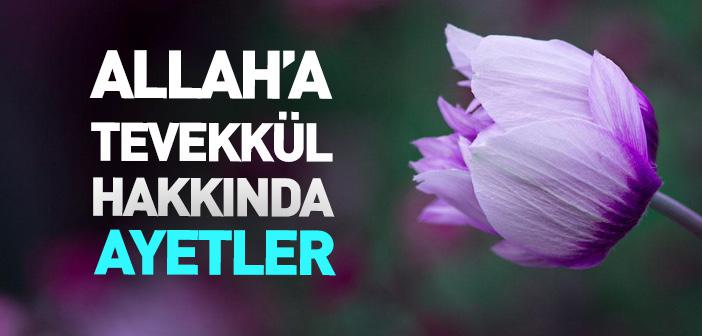 Allah’a Tevekkül ile İlgili Ayetler