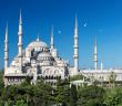 Safer Ayı Hakkında Kısaca Bilinmesi Gerekenler