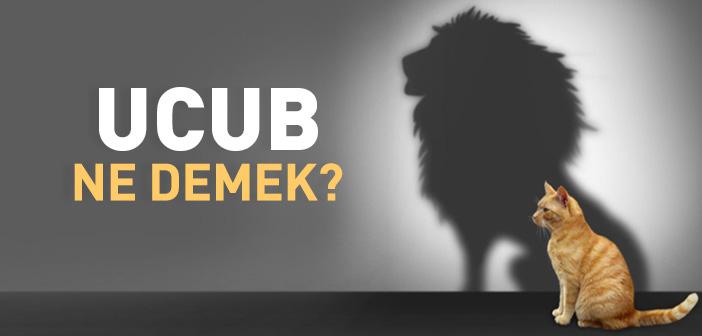 Ucup Ne Demek? Ucup Ne Anlama Gelir?