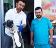 Yaralı Köpeğin İmdadına Din Görevlisi Yetişti