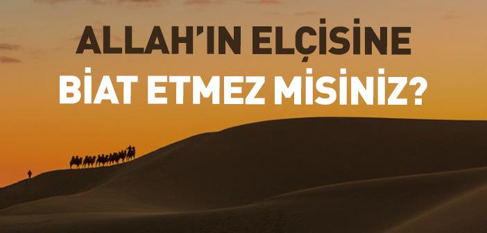 “Allah’ın Elçisine Biat Etmez misiniz?”