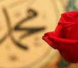 Nebi Nedir, Kime Denir?