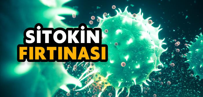 Sitokin Fırtınası Nedir?