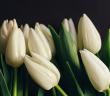 Âdet Düzensizliği Olan Kadın Nasıl İbadet Edebilir?