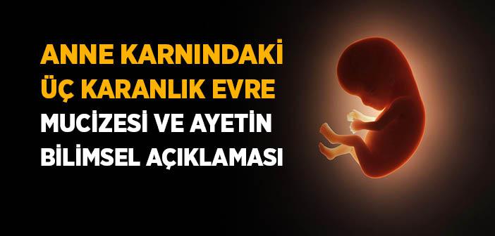 Anne Karnındaki Üç Karanlık Evre Mucizesi ve Ayetin Bilimsel Açıklaması (Zümer Suresi 6 Ayet)