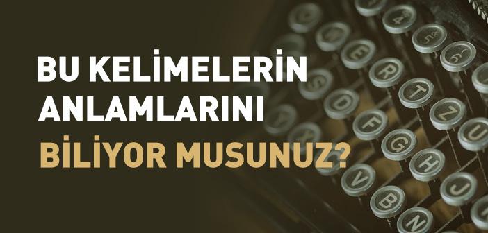 Bu Kelimelerin Anlamlarını Biliyor musunuz?