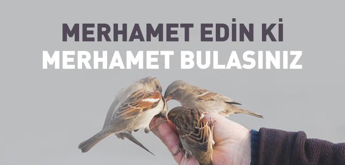 “Merhamet Etmeyene Merhamet Olunmaz” Hadisi