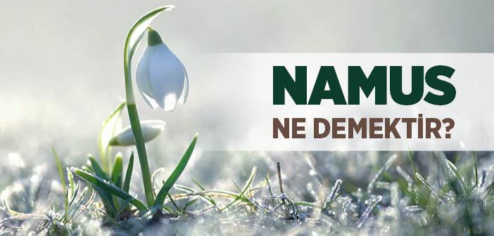 Namus Ne Demek?