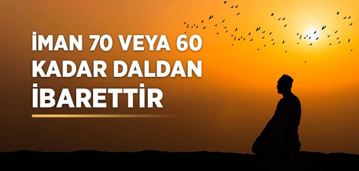 “İman 70 (veya 60) Kadar Daldan İbarettir” Hadisi