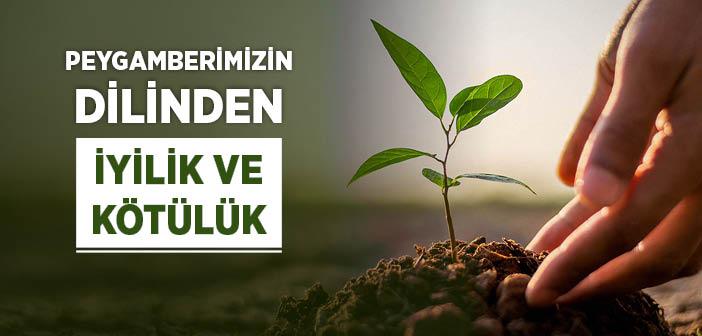 İyilik ve Kötülük Nedir?