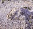 Mahşer Günü Ne Demek?