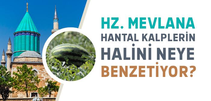 Hz. Mevlana Hantal Kalplerin Halini Neye Benzetiyor?