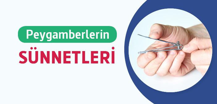 Peygamberlerin Sünnetleri