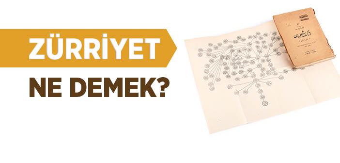 Zürriyet Ne Demek? Zürriyet Ne Anlama Gelir?