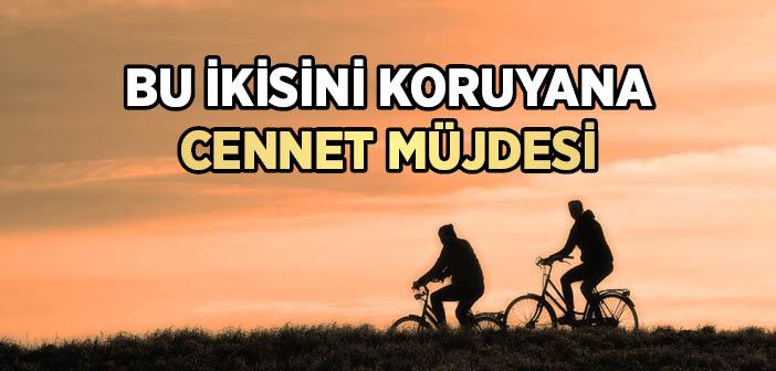 "Allah Kimi, İki Çenesi ve İki Bacağı Arasındakinin Şerrinden Korursa, O Kişi Cennete Girer" Hadisi