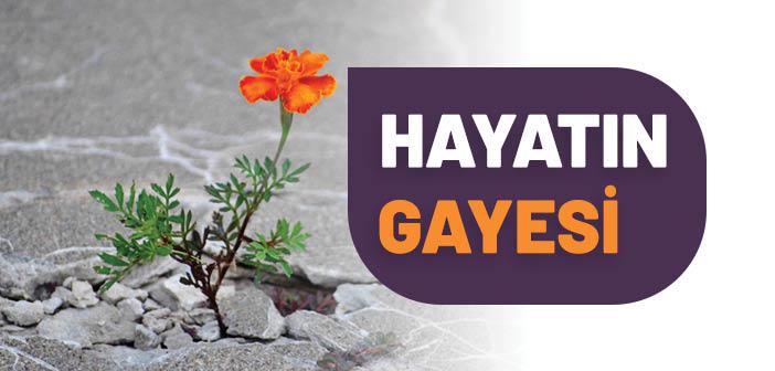 Hayatın Gayesi