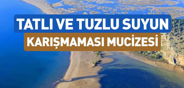 Tatlı ve Tuzlu Suyun Karışmaması Mucizesi