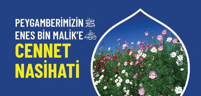 Peygamberimizin Enes bin Malik’e (r.a.) Cennet Nasihati