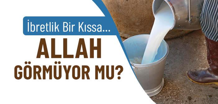 Sütçü Kızın Hikayesi