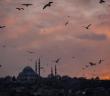 Câmi Ne Demek? Kısaca Anlamı Nedir?