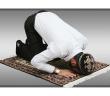 Köpek Beslenen Evde Namaz Kılınır mı?