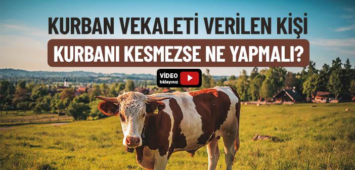 Kurban Vekaleti Verilen Kişi Kurbanı Kesmezse Ne Yapmalı?