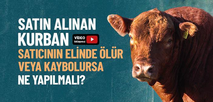 Satın Alınan Kurbanlığın Ölmesi Durumunda Ne Yapılmalıdır?