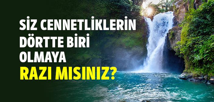 “Siz Cennetliklerin Dörtte Biri Olmaya Razı mısınız?” Hadisi