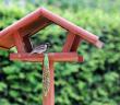 Diğergâmlık Ne Demek?