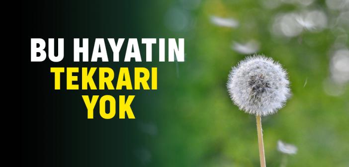 Dünya Hayatının Tekrarı Yok