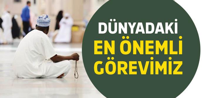 Dünyadaki Görevimiz Ne?