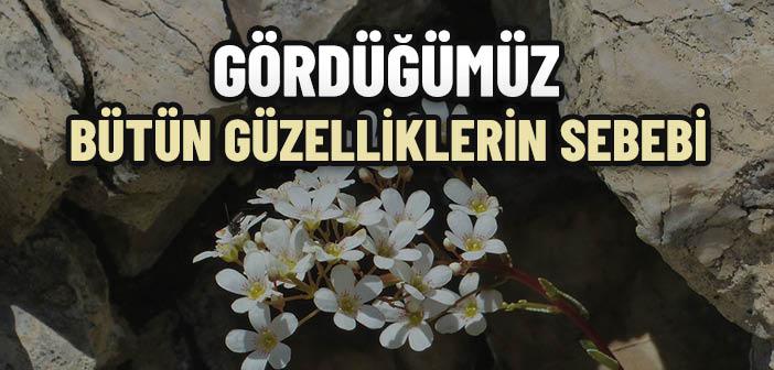 Gördüğümüz Bütün Güzelliklerin Sebebi