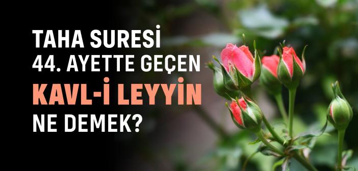 Kavli Leyyin Ne Demek? | Peygamberimizin Eğitim Dili