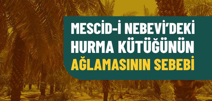 Mescid-i Nebevi’deki Hurma Kütüğü Neden Ağladı?