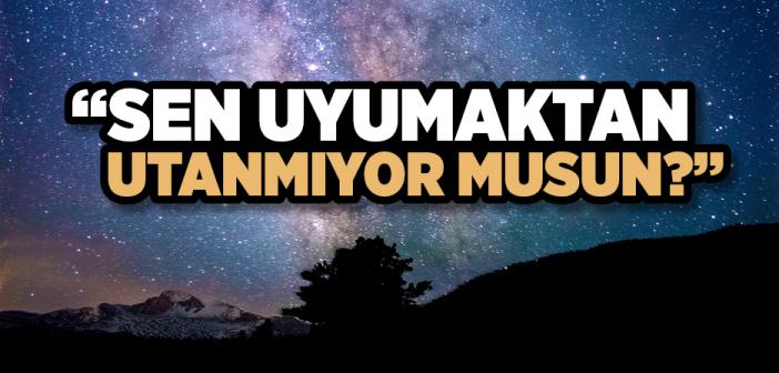 Sen Uyumaktan Utanmıyor musun?