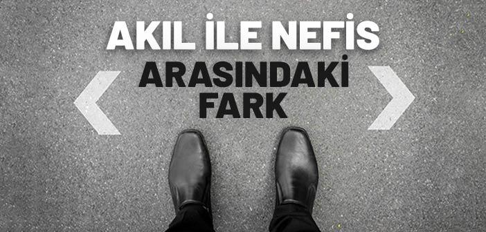 Akıl ile Nefis Arasındaki Fark Nedir?