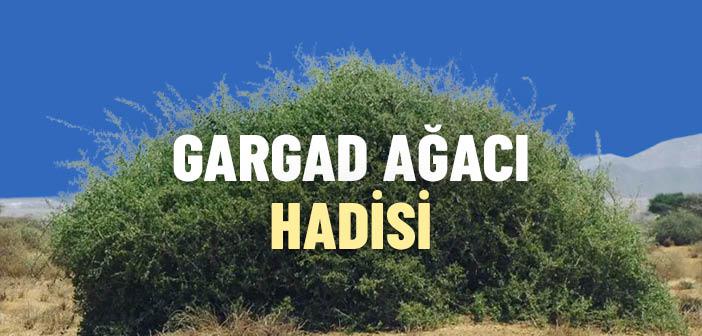 Gargad Ağacı Hadisi