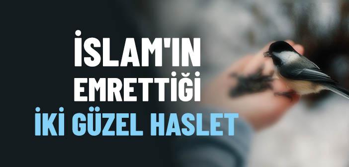 İslam, Şefkat ve Merhameti Emreder